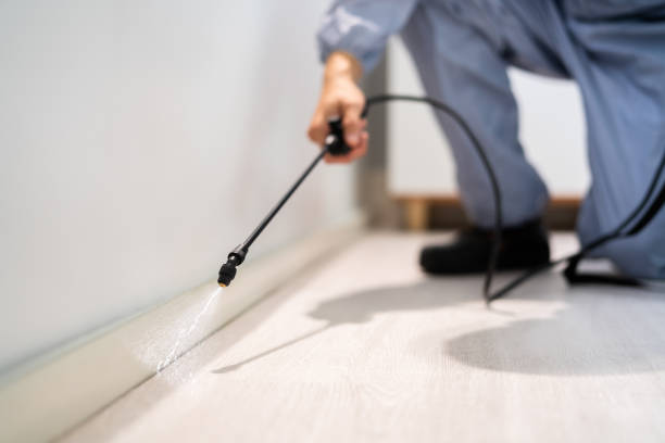 Licensed Cockroach Control service in Lake County County, CA - Nex Pest Control