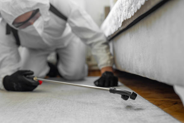 Professional Cockroach Control technician working in Lake County County, CA
